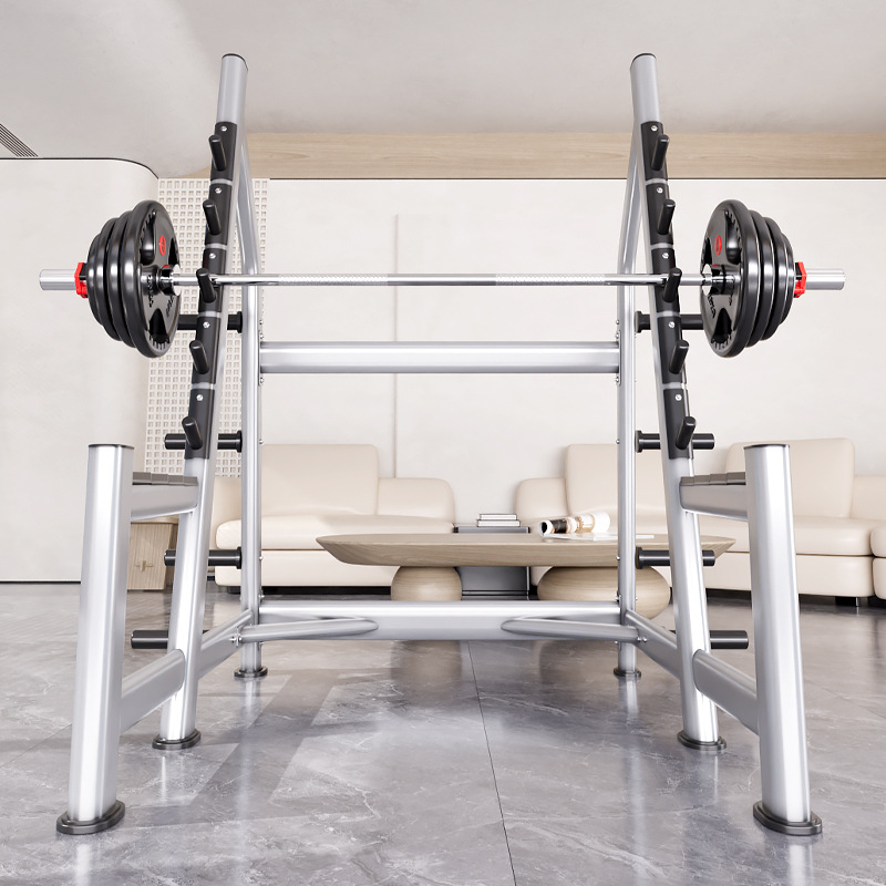 Squat Rack Power Cage, Plate L - Squat Rack Power ulasan dan harga