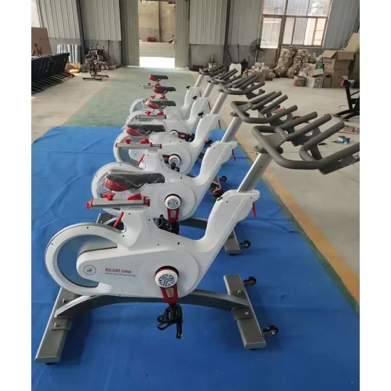 Professional Magnetic Resistan - Home Gym Fitness ulasan dan harga