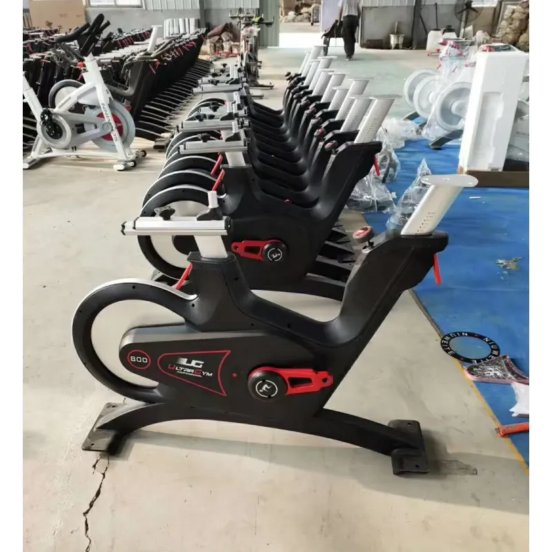 Professional Magnetic Resistan - Home Gym Fitness ulasan dan harga