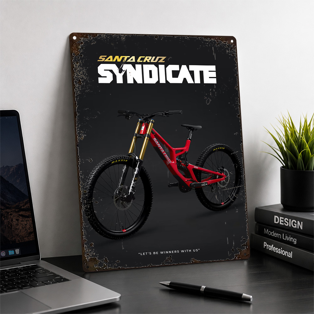 Santa Cruz V10 Downhill Bike A - Home Gym Custom ulasan dan harga