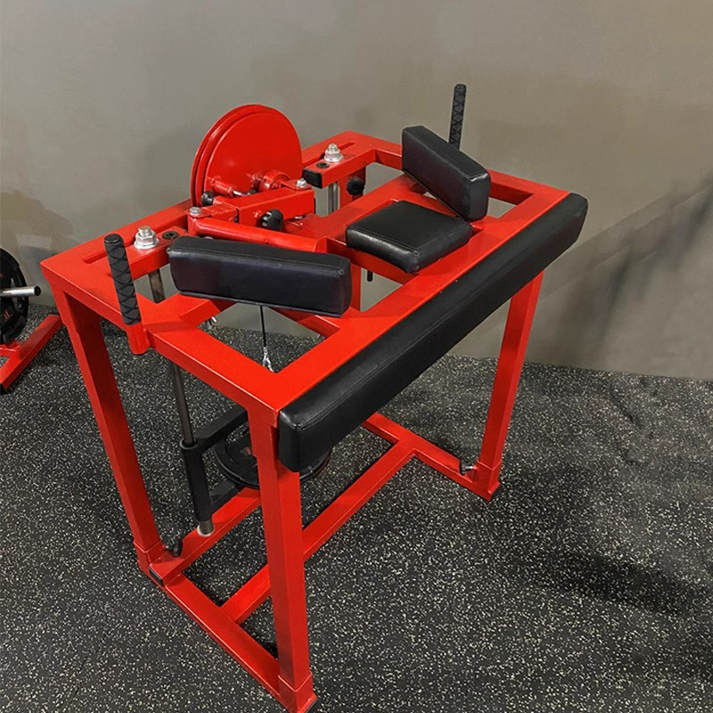 Wrestling Arm Strength Trainin - Home Gym Luxury ulasan dan harga
